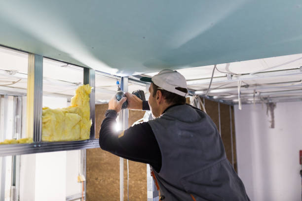 Professional Insulation Contractor in Mcnair, VA